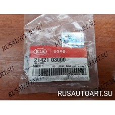 САЛЬНИК КОЛЕНВАЛА ПЕРЕДНИЙ[12]