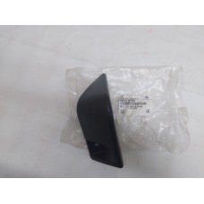 БРЫЗГОВИК ПЕРЕДНИЙ[47]