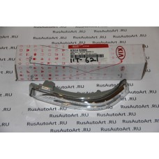 ПОВОРОТНИК БОКОВОГО ЗЕРКАЛА[52]